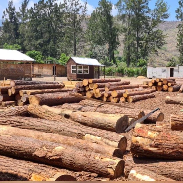 Madera para construcción